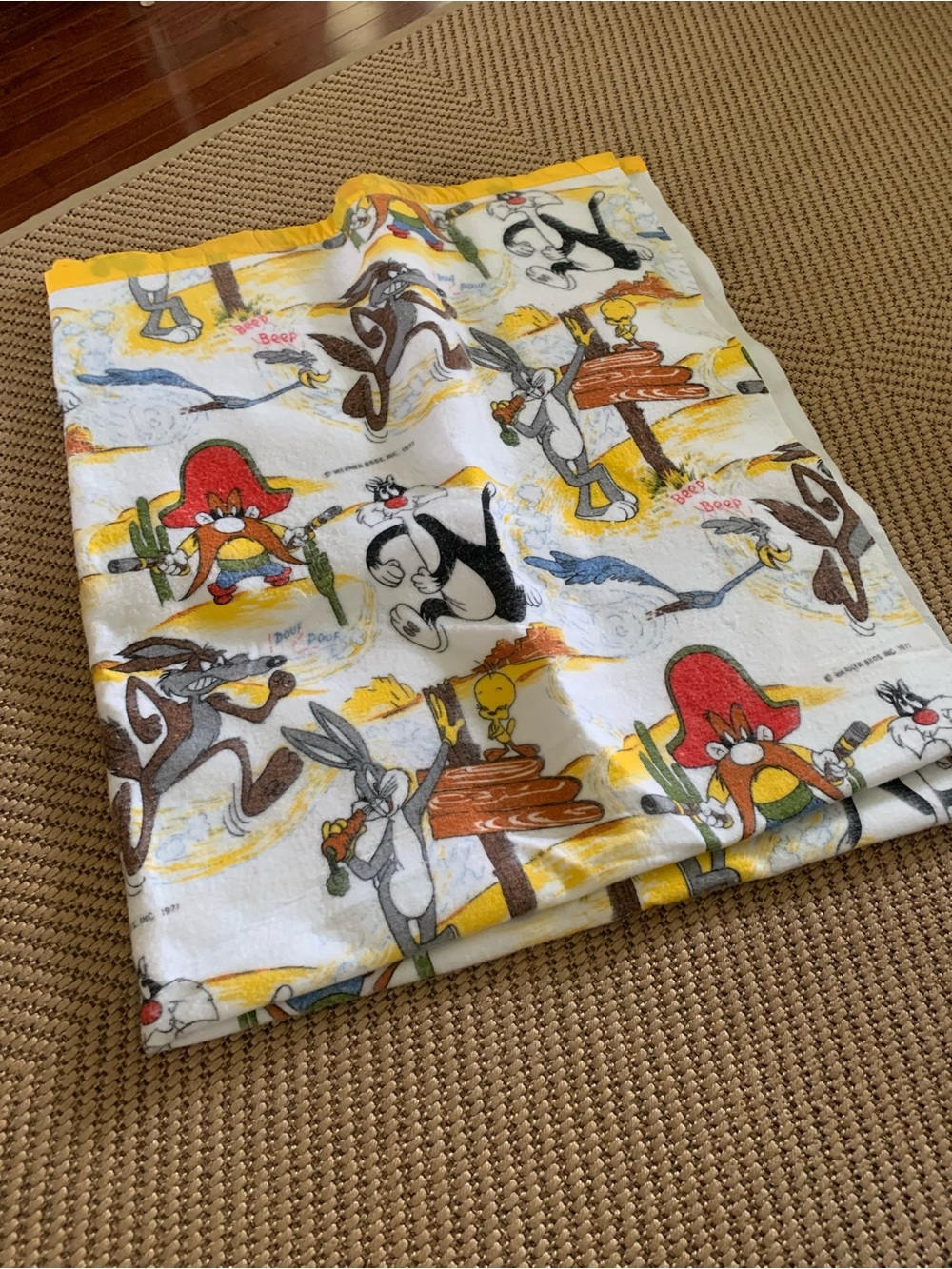 Vintage 1977 Looney Tunes Throw Blanket